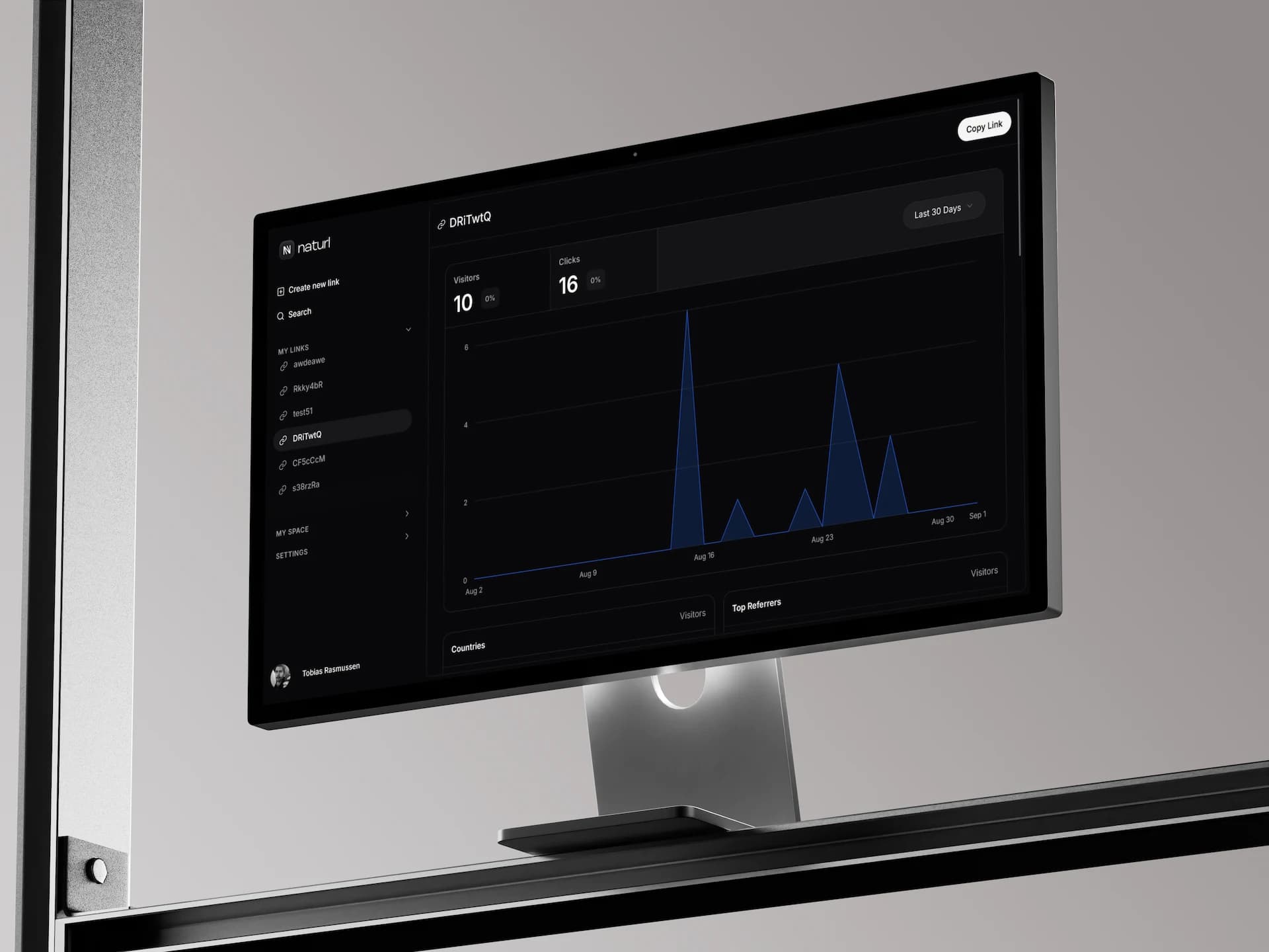 Naturl: The Ultimate €5 URL Shortener with Analytics and Custom Domains